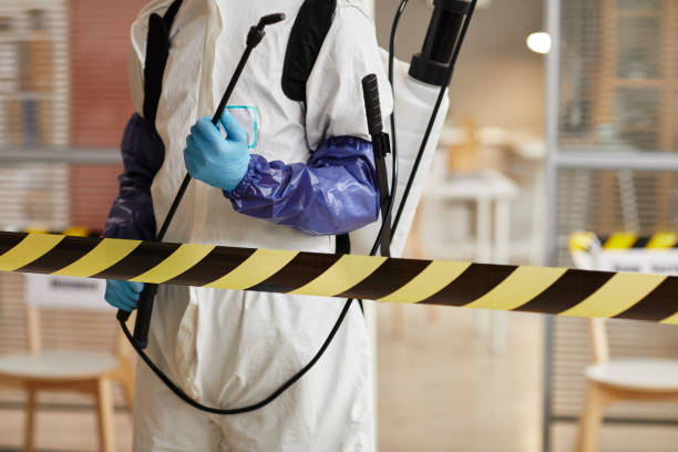 Professional Sewage Cleanup technician working in Bellevue, ID